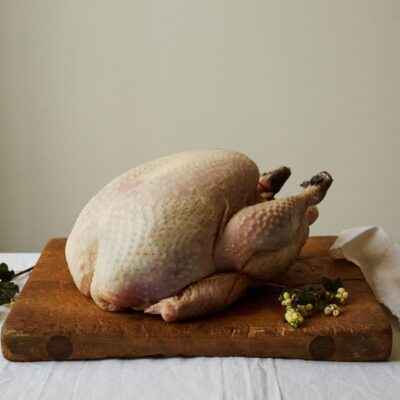 Broad-breasted Bronze Turkey