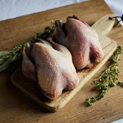Partridge