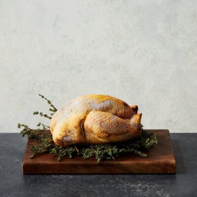 Pheasant