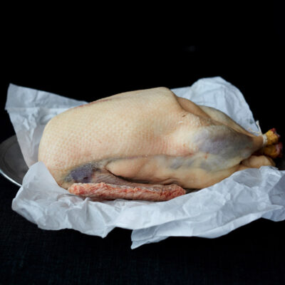 Michaelmas Goose