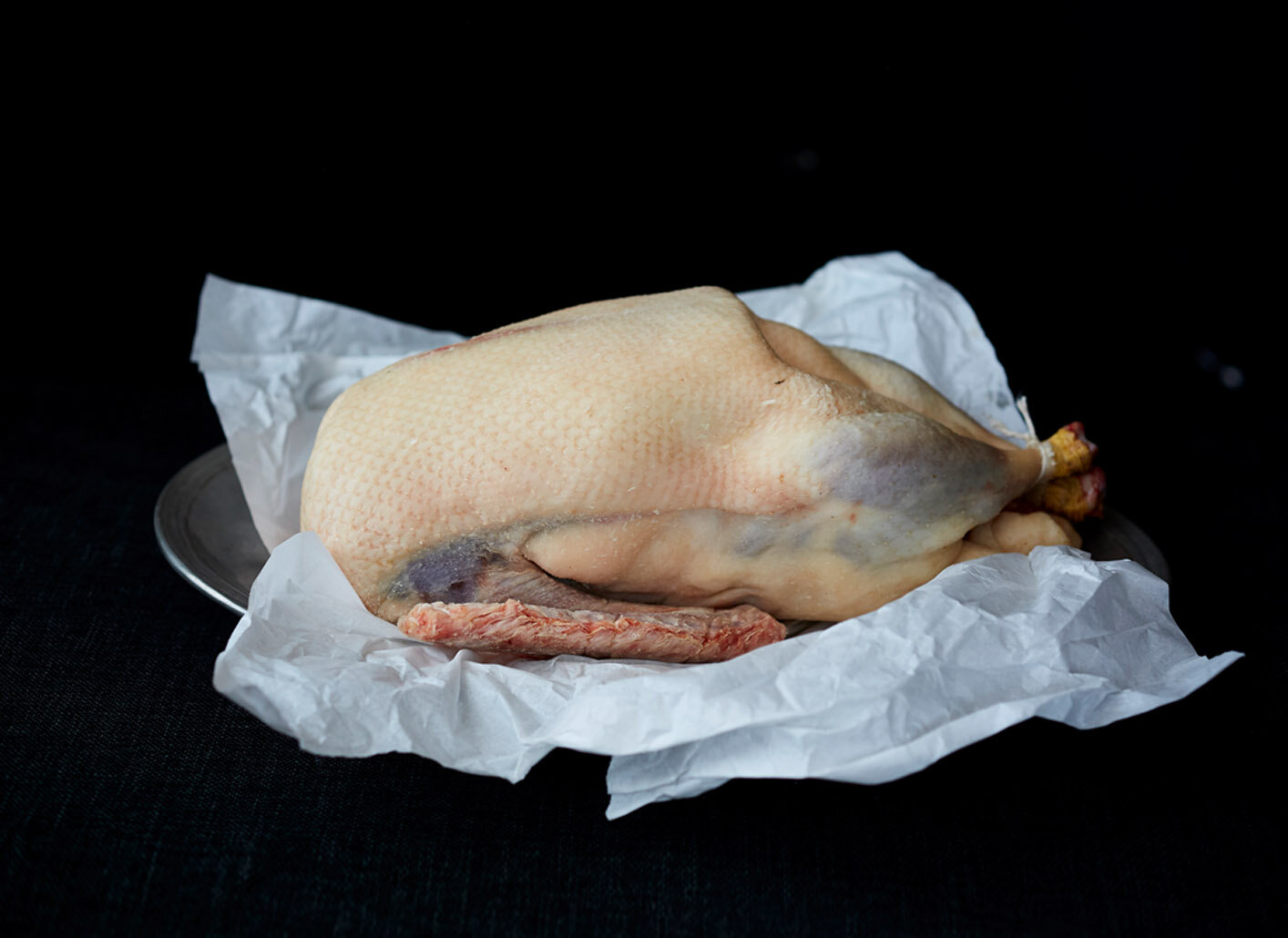 Michaelmas Goose