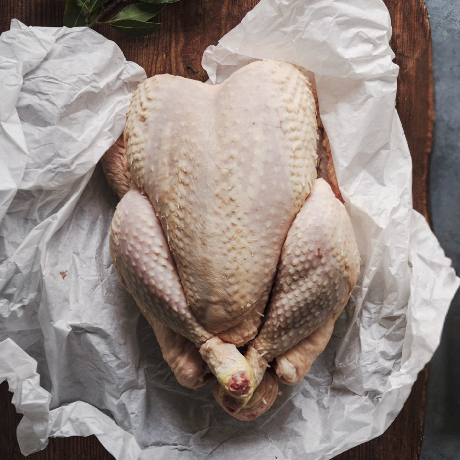 100 Day Chicken Great Taste Ginger Pig